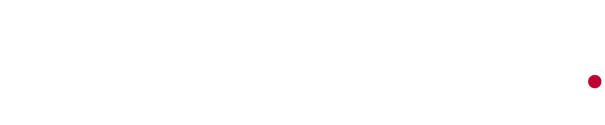 Spend Network logo - high res - white